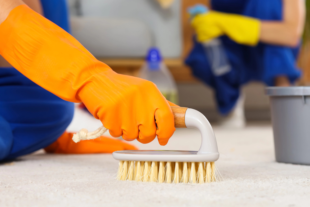 Professional Carpet Cleaning Services in Carlstadt, NJ